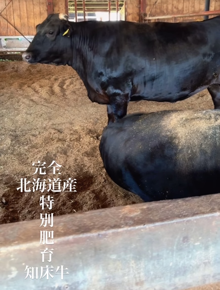 北海道・知床牛「大橋牧場」