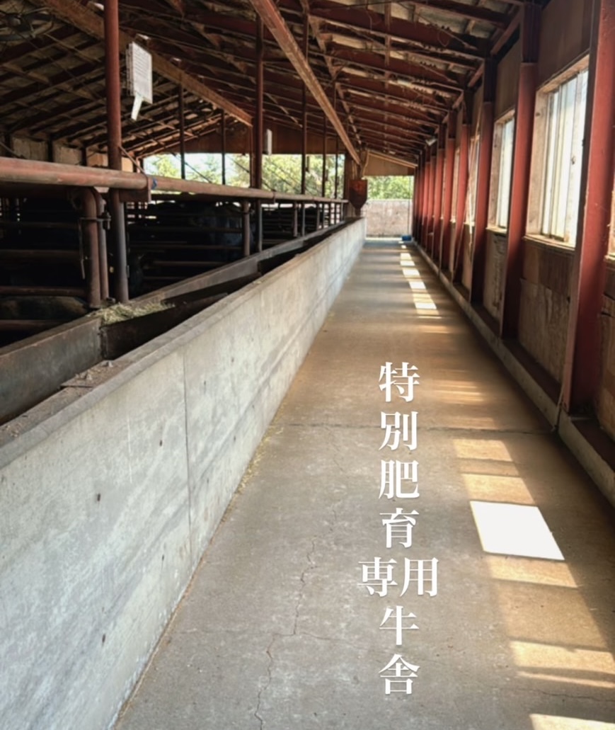 北海道・知床牛「大橋牧場」