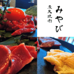 牛刺し砂ずり刺しハツ刺し 馬刺しミノ刺しレバー